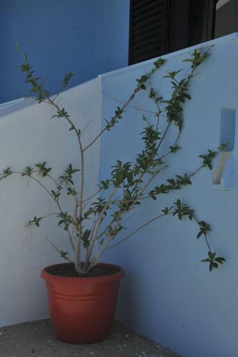 Apartamento Blue Wave
