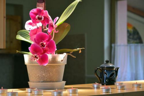 Bed & Breakfast Flamingo Vend�gh�z