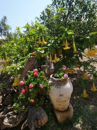 Agroturismo Gerolakos Country Houses