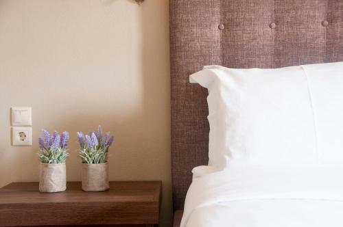 Hotel Doupiani House