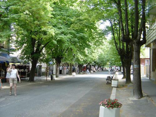Apartman Vera