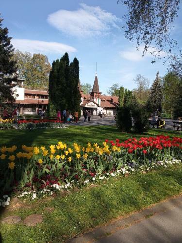 Apartman Vera