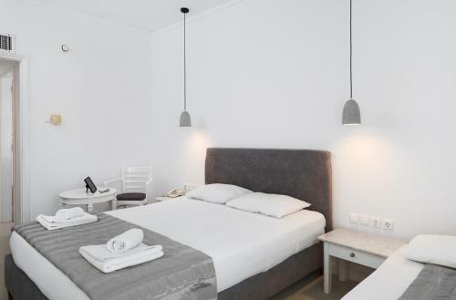 Tinos Beach Hotel