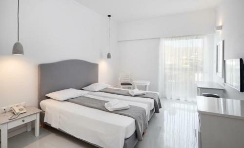Tinos Beach Hotel