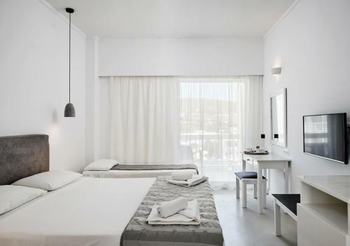 Tinos Beach Hotel