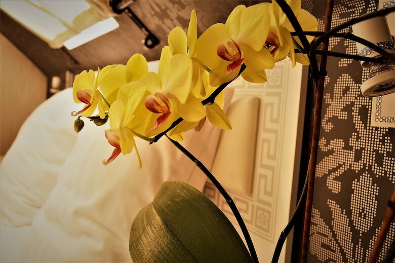 Hostal Sweet Life Wellness Apartments