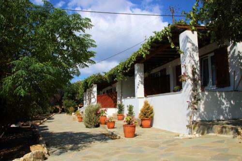 Apartamento Studios Marfo