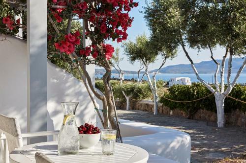 Apartamento Iliana Olive Branch