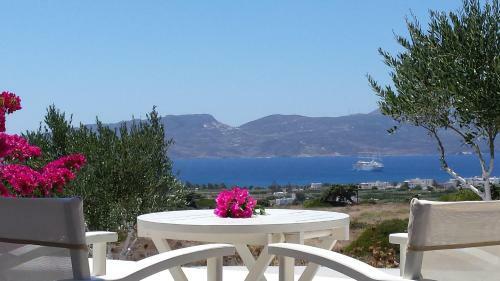 Apartamento Iliana Olive Branch