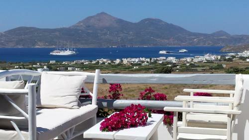 Apartamento Iliana Olive Branch