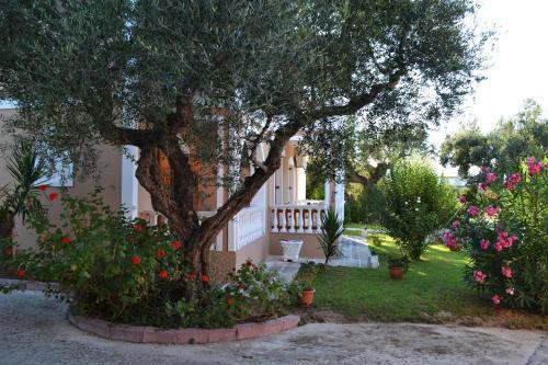 Apartamento Pansion Mary