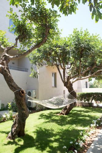 Aparthotel Sundance Apartments & Suites