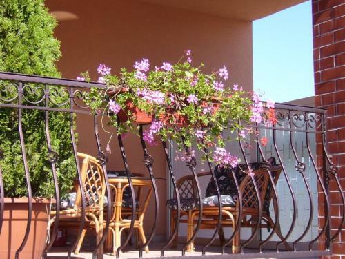 Bed & Breakfast Korona Panzio