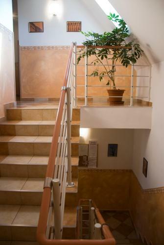 Bed & Breakfast Korona Panzio