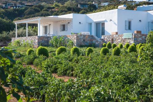 Villa Maria With Private Swimming Pool