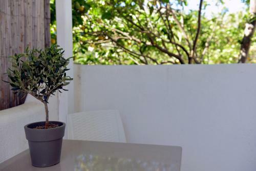 Apartamento Flora's Houses Mykonos