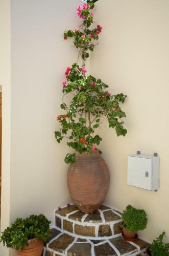Apartamento Margo Studios