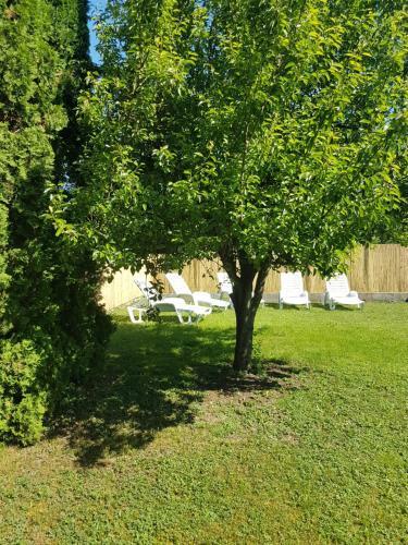 Apartamento Kov�cs Vend�gh�z