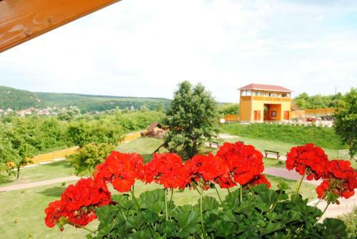 Hostal R�zsapark Vend�gh�z