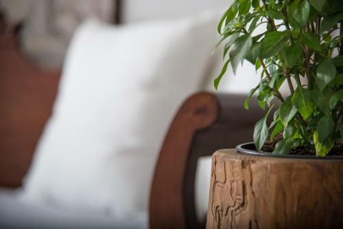 Stilvi Suite