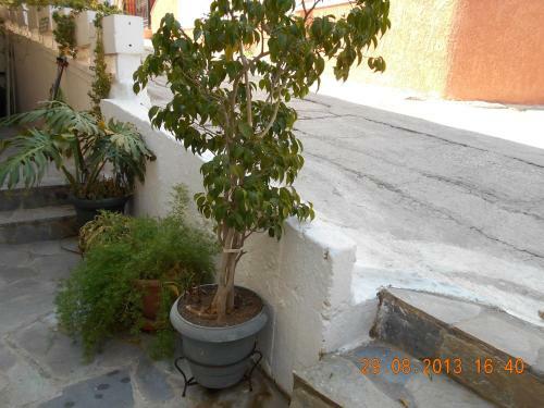 Mina Apartments