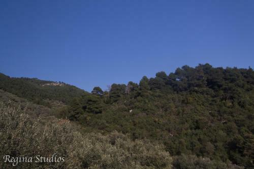 Apartamento Regina Studios