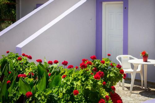 Apartamento Dk House