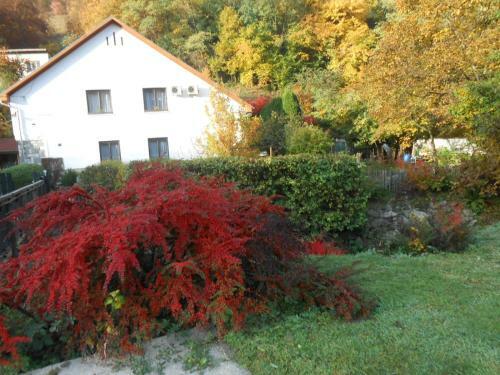 Hostal Pereszl�nyi Vend�gh�z