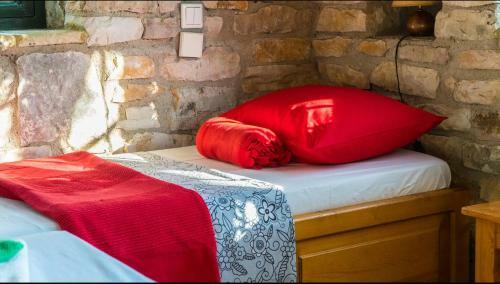 Apartamento Liodentro - Olea