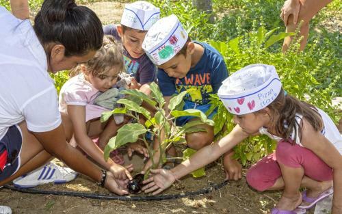 Neptune Hotel-resort, Convention Centre & Spa