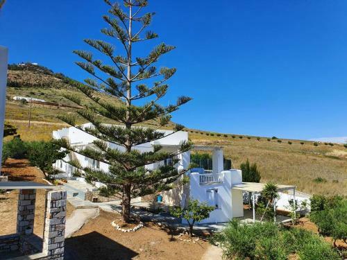 Anthoula's Sea View Apartment