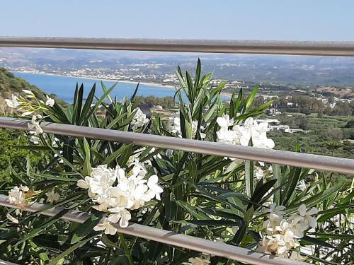 Aloe Villa Chania Crete