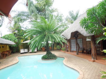 Albergue Trees Too Guest Lodge