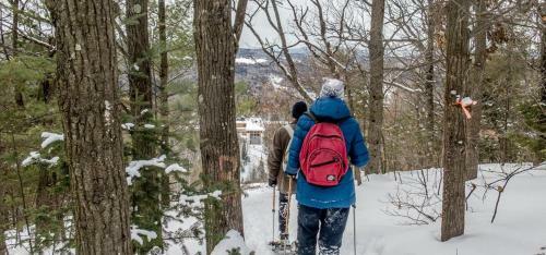 Hotel Auberge De La Montagne Coup�e