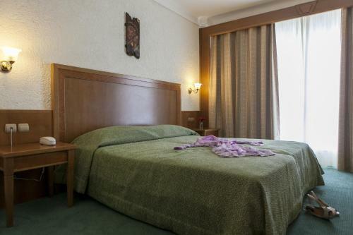 Hotel Athos Palace