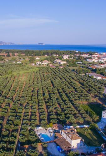 Eleni's Family Villa