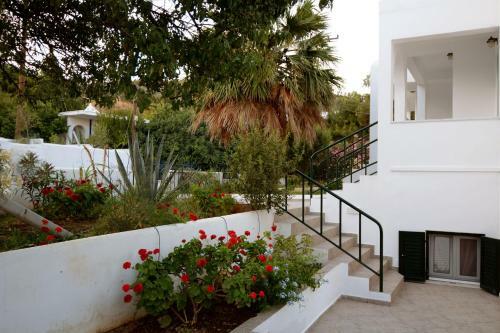 Apartamento Moscha Studios