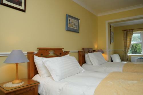 Hotel Milltown House Dingle