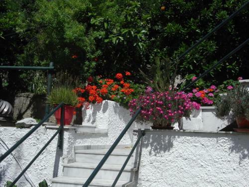 Hostal Villa Yiannis (adult Friendly)