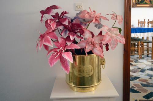 Bed & Breakfast La Plage