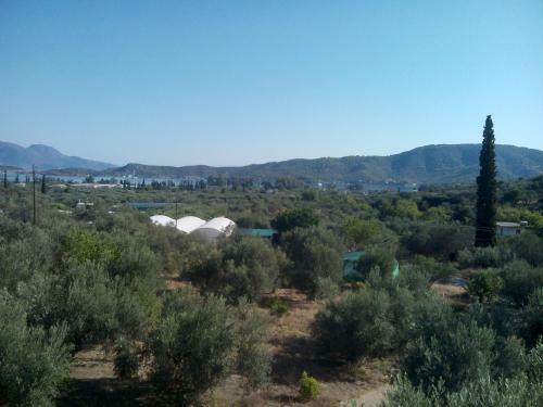 Apartamento The Olive Branch