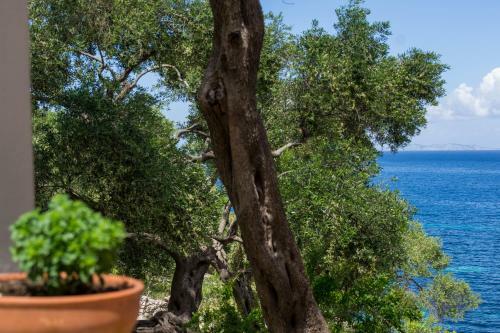 Paxos Sunrise Villas