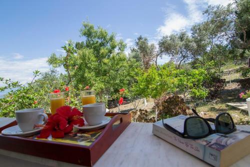 Paxos Sunrise Villas