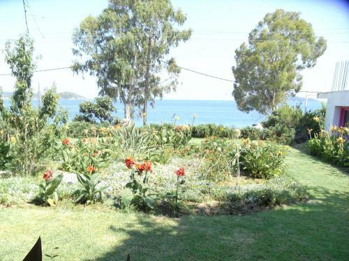 Hostal Nefi (adult Friendly)