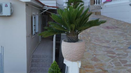 Apartamento Corali Beach