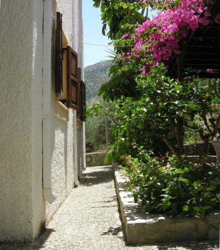 Apartamento Eleftheria Studios