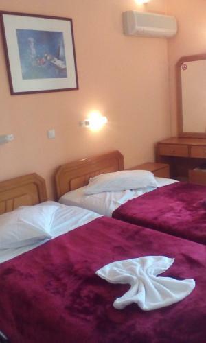 Aiolos Hotel Delphi
