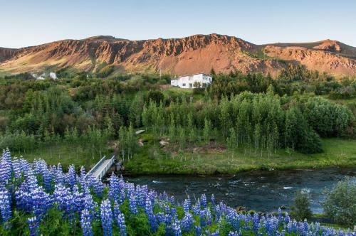 Hostal Iceland's Guesthouse