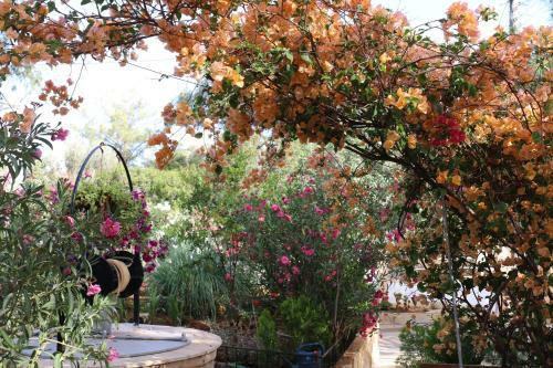 Villa Bougainvillea