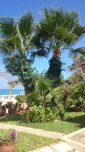Villa In The Sea Crete